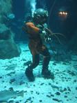 IMG_6506 IMG_6506