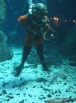 IMG_6507 IMG_6507