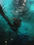 IMG_6510 IMG_6510