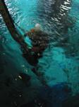 IMG_6511 IMG_6511