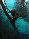 IMG_6512 IMG_6512