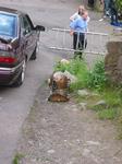 IMG_7935 IMG_7935