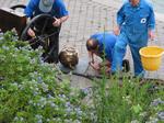 IMG_7951 IMG_7951
