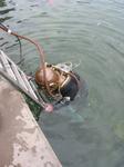 IMG_7959 IMG_7959