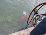 IMG_7963 IMG_7963