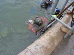 IMG_7964 IMG_7964