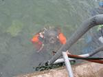 IMG_7971 IMG_7971