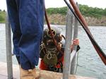 IMG_7979 IMG_7979