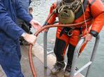 IMG_7982 IMG_7982