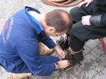 IMG_8003 IMG_8003