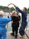 IMG_8017 IMG_8017