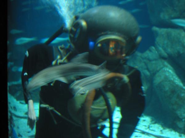 IMG_8034
