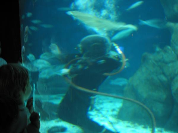 IMG_8050