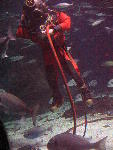 IMG_1908 IMG_1908