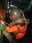 IMG_1842 IMG_1842