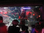 IMG_1844 IMG_1844