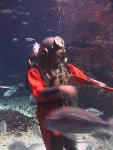 IMG_1846 IMG_1846