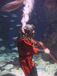 IMG_1847 IMG_1847