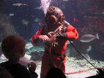 IMG_1851 IMG_1851