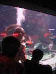 IMG_1857 IMG_1857