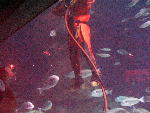 IMG_1860 IMG_1860