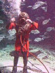 IMG_1861 IMG_1861