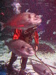 IMG_1862 IMG_1862