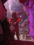 IMG_1863 IMG_1863