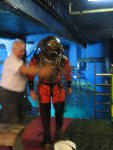 IMG_1865 IMG_1865