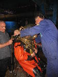 IMG_1882 IMG_1882