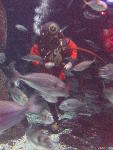 IMG_1892 IMG_1892