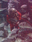 IMG_1893 IMG_1893