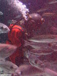 IMG_1894 IMG_1894