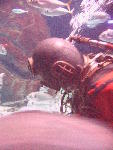 IMG_1895 IMG_1895