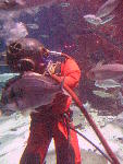 IMG_1896 IMG_1896