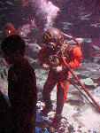 IMG_1897 IMG_1897