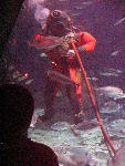 IMG_1898 IMG_1898