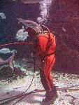 IMG_1900 IMG_1900