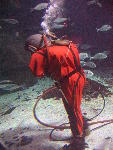 IMG_1901 IMG_1901