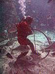 IMG_1903 IMG_1903