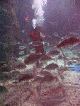 IMG_1904 IMG_1904
