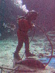 IMG_1905 IMG_1905
