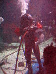 IMG_1906 IMG_1906
