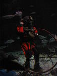 IMG_1907 IMG_1907