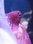 IMG_1910 IMG_1910