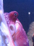 IMG_1911 IMG_1911