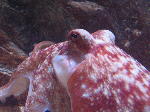 IMG_1912 IMG_1912