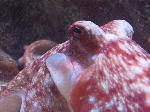 IMG_1913 IMG_1913