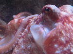 IMG_1914 IMG_1914