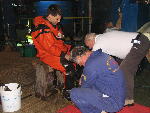 IMG_1937 IMG_1937